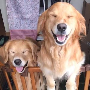 Meet your Posher, Claire